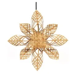 PR Home Anna-joulutähti, Nature